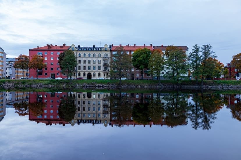 Reumatikerbladet 